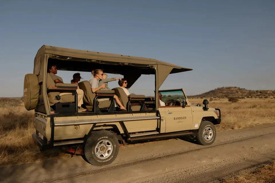 Guests in an open safari vehicle in soft morning light