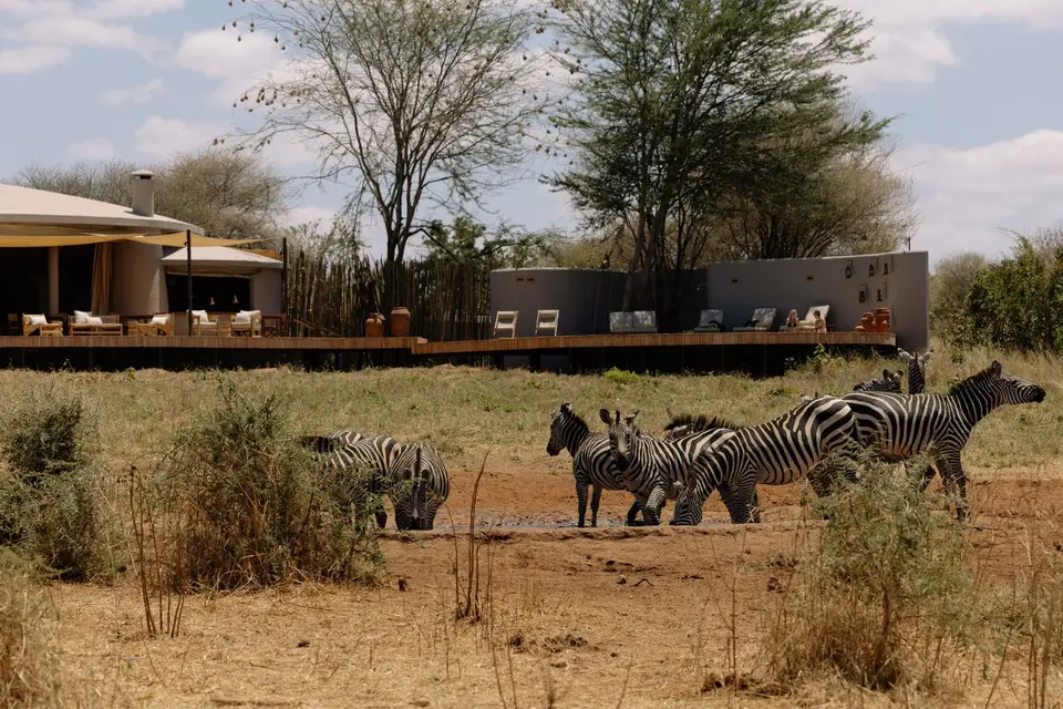 Elephants at the waterhole seen from the lodge seating