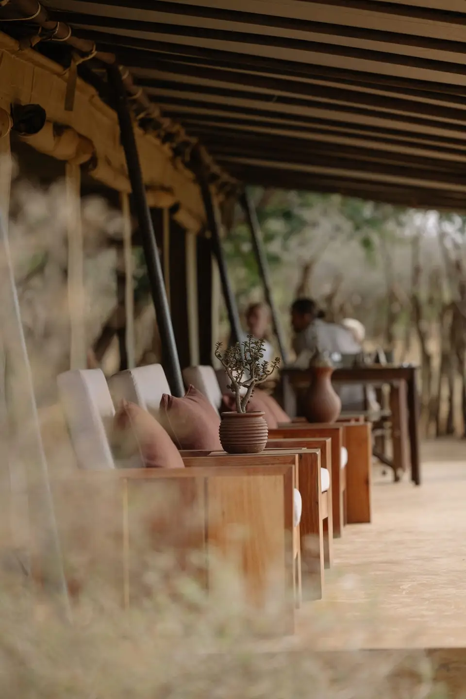 The terrace at Randilen Plains Bush Camp, overlooking the wild